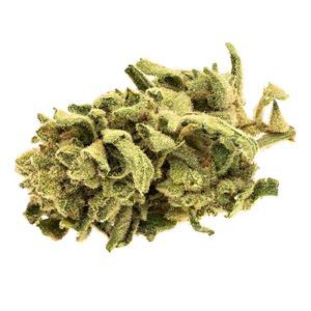 Monkey Glue